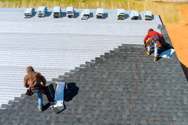 Best Shingle Roofing Installation  in Cutlerville, MI